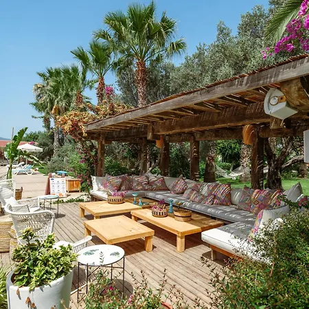 Hotel Flow Surf & 3*