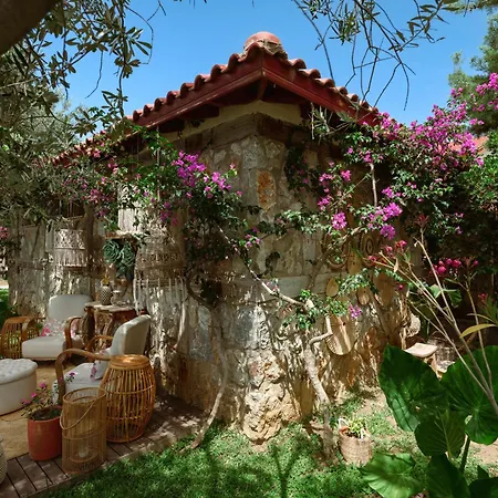 弗洛达特卡冲浪及海滩酒店 酒店 达特恰