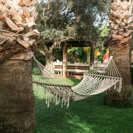 弗洛达特卡冲浪及海滩酒店 酒店 达特恰