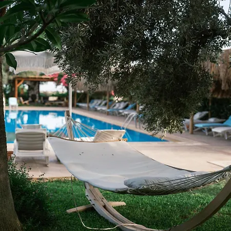 弗洛达特卡冲浪及海滩酒店 达特恰