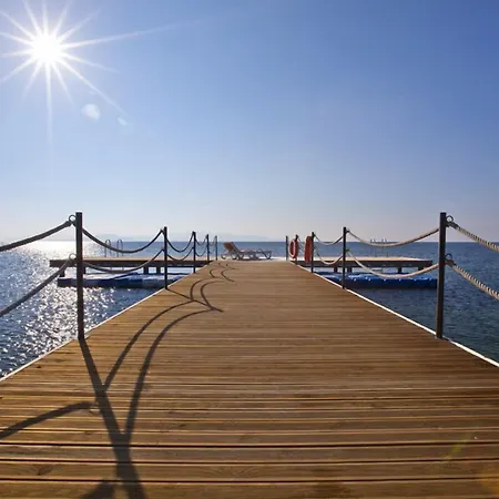 弗洛达特卡冲浪及海滩酒店 酒店 达特恰