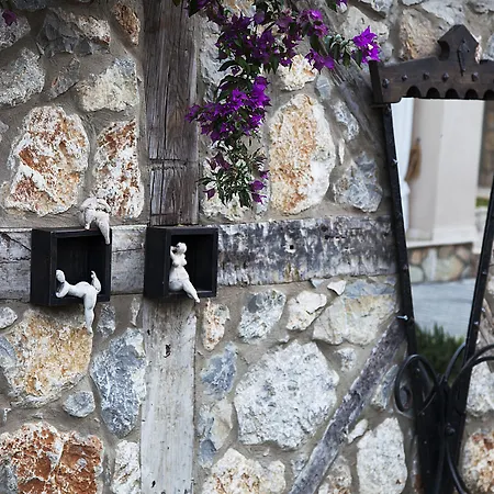 弗洛达特卡冲浪及海滩酒店